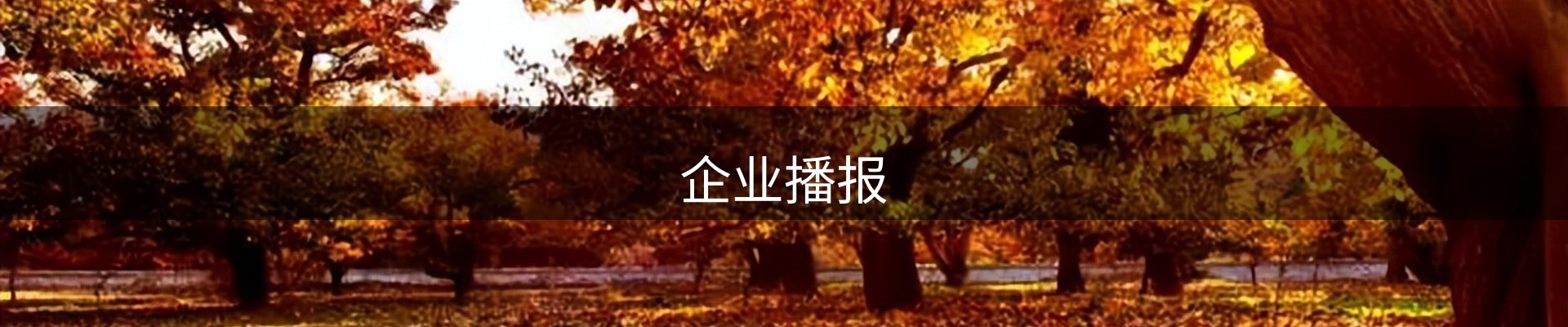 企业播报